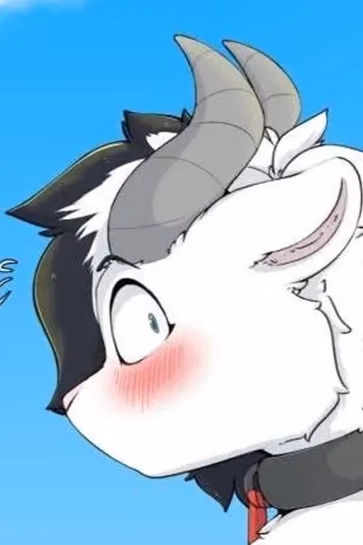 🐑Male sheep🐑 An exception