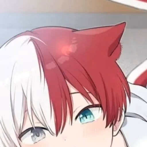 Catboy - Shoto Todoroki
