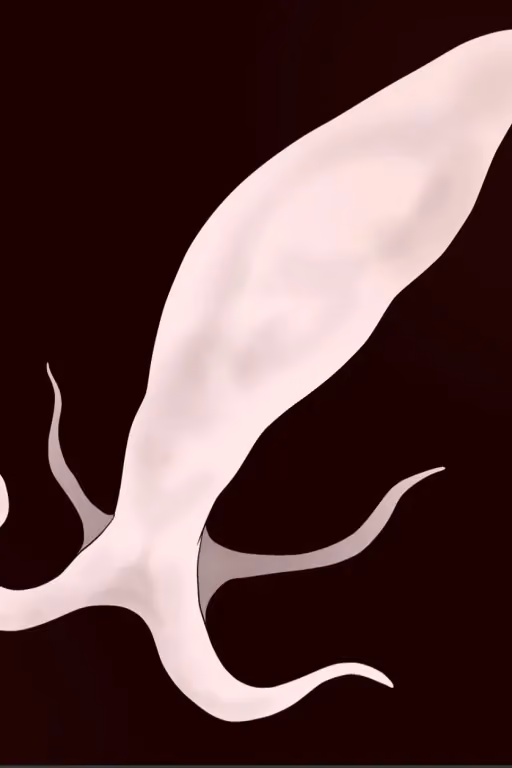 Sperm Creature