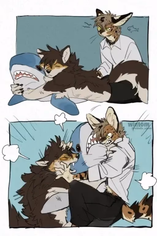 Shark Pillow Dispute
