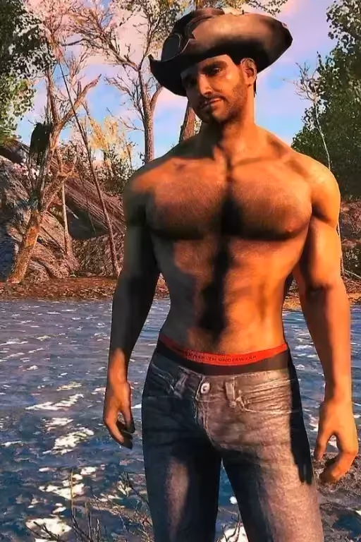 Cowboy Paladin Danse