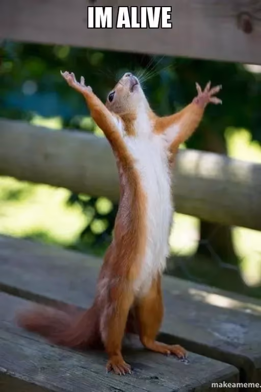 Don’t worry yall! I’m alive and still breathing!