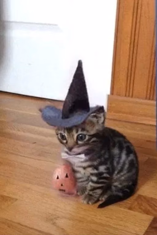 HAPPY HALLOWEEN 