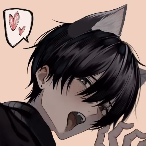 STRAY | Felis