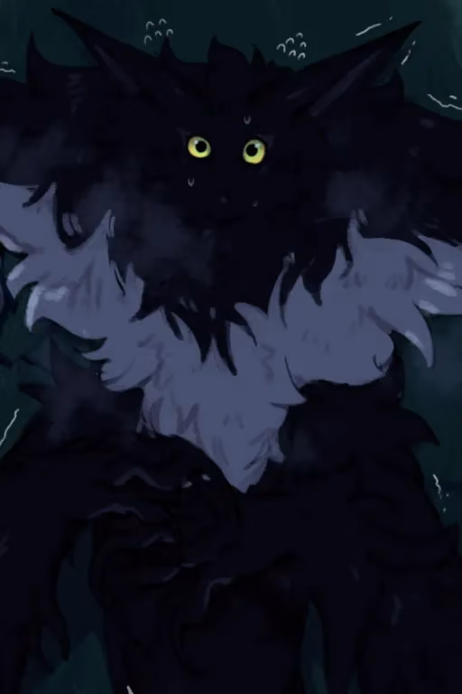 The Stalker