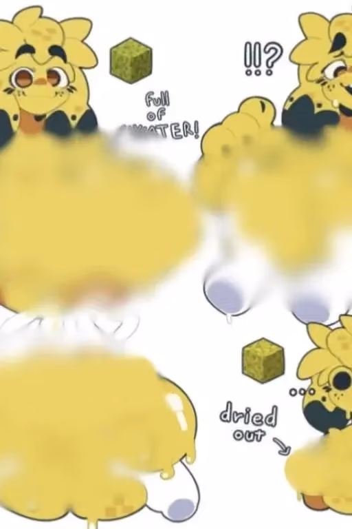 Sunny the sponge 