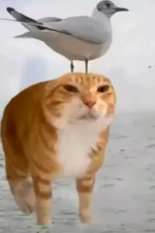 It's time to return, I think?