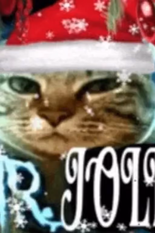 🎄Merry Christmas🎄