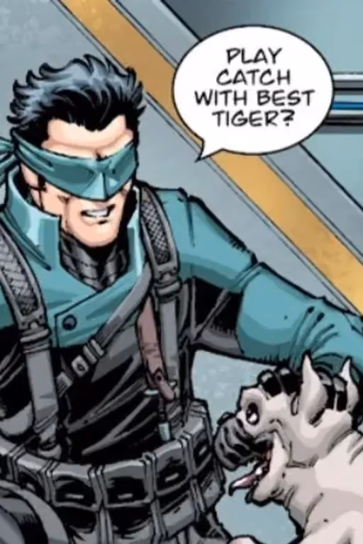 Best tiger