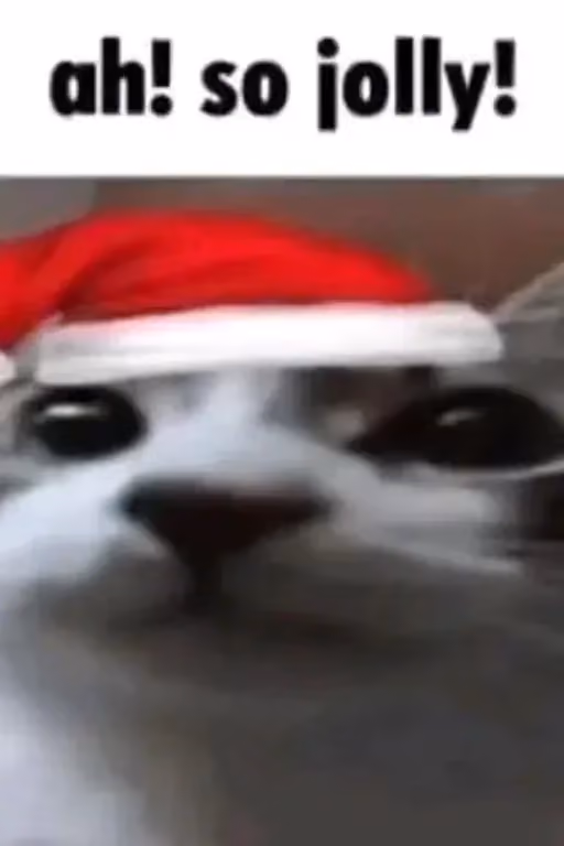 Time to vote for the next bot!