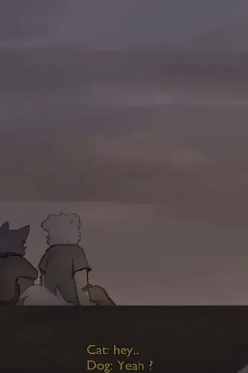 Rooftop Solace