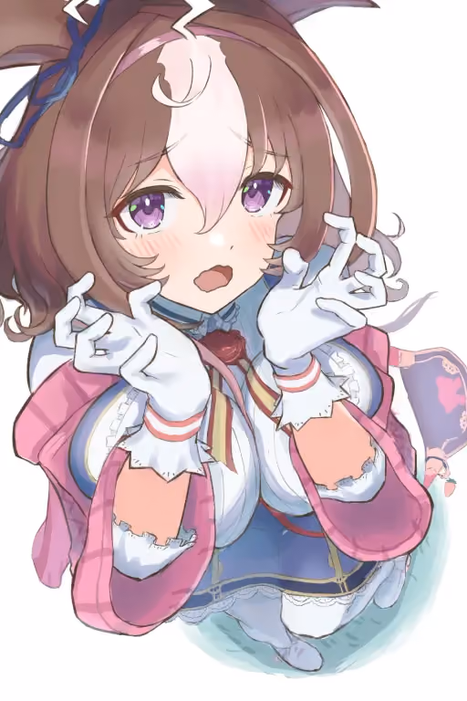 Meisho Doto (Uma Musume)