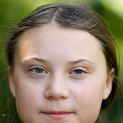 Greta Thunberg: Help or Fight her