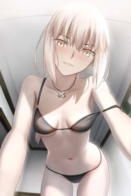 Artoria Pendragon (alter) | 1600 Follower Special