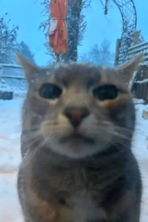 I need your Help.